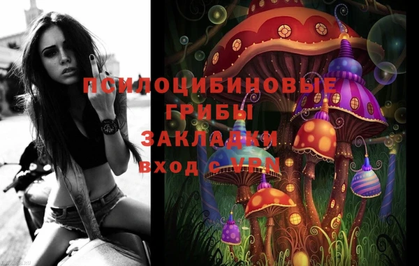 хмурый Бронницы