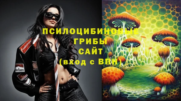 apvp Бородино