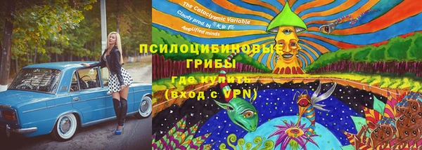 apvp Бородино