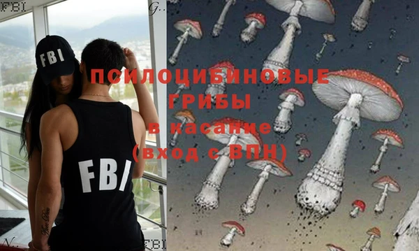 apvp Бородино