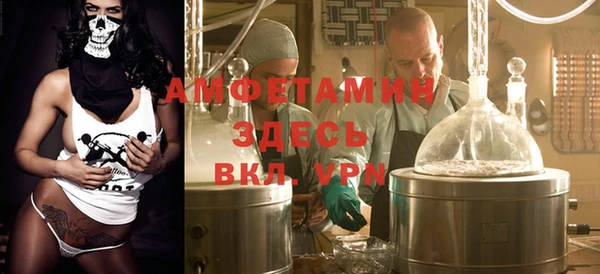 спиды Богородицк