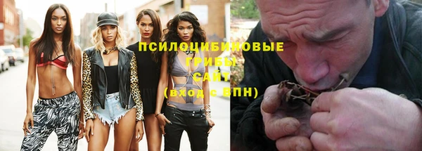 apvp Бородино