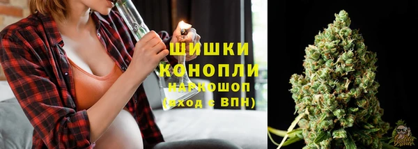 хмурый Бронницы